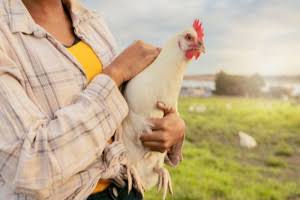 WhatsApp Image 2025-05-10 at 8.42.50 AM.jpeg